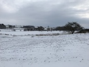 Cold Stops Play